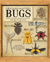 Origami Masters bugs book