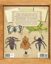 Origami Masters bugs book