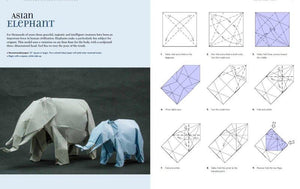 Origami Animal Sculptures Book