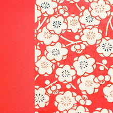 Concertina Photo Album (175Mmx125Mm)
