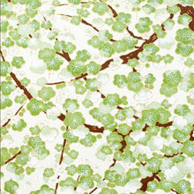 Gaia Series Cards (125X125Mm)
