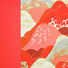 Post Bound Photo Album (250X315Mm)