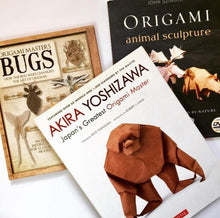 Akira Yoshizawa Book